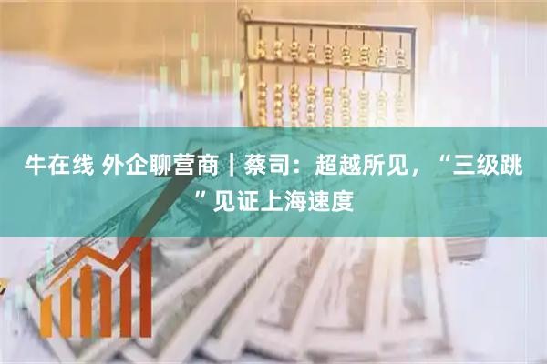 牛在线 外企聊营商｜蔡司：超越所见，“三级跳”见证上海速度